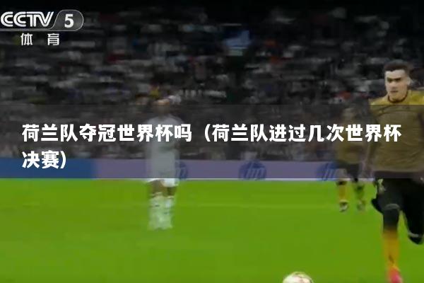 荷兰队夺冠世界杯吗（荷兰队进过几次世界杯决赛）