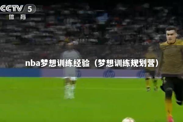 nba梦想训练经验（梦想训练规划营）