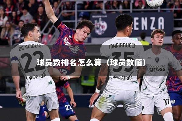 球员数排名怎么算（球员数值）