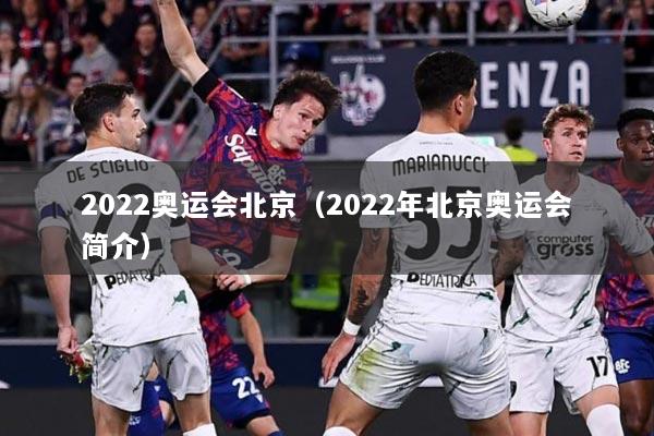 2022奥运会北京（2022年北京奥运会简介）
