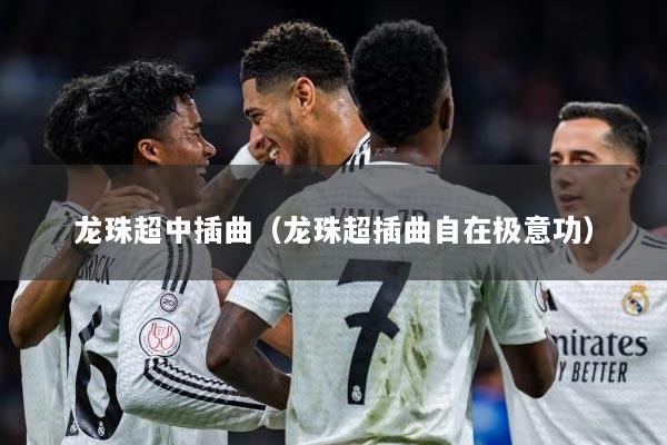 龙珠超中插曲（龙珠超插曲自在极意功）
