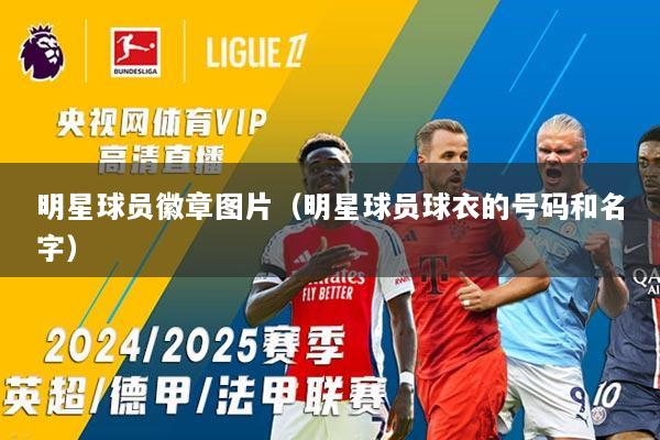 明星球员徽章图片（明星球员球衣的号码和名字）