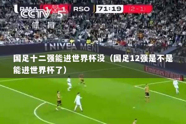 国足十二强能进世界杯没（国足12强是不是能进世界杯了）