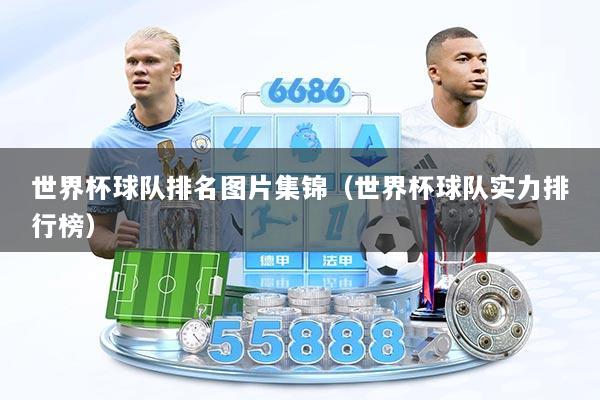 世界杯球队排名图片集锦（世界杯球队实力排行榜）