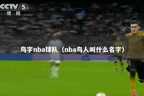 鸟字nba球队(nba鸟人叫什么名字)