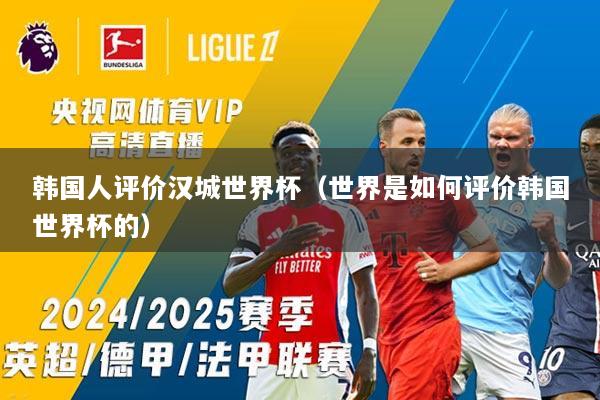 韩国人评价汉城世界杯(世界是如何评价韩国世界杯的)