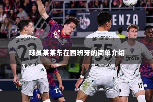 球员某某东在西班牙的简单介绍