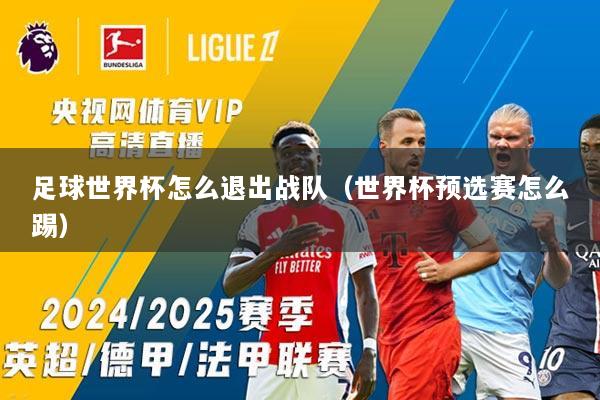 足球世界杯怎么退出战队（世界杯预选赛怎么踢）