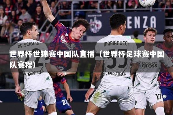 世界杯世锦赛中国队直播（世界杯足球赛中国队赛程）